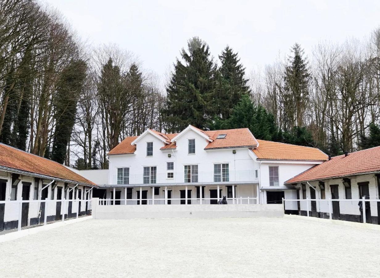 Royal Horses Bed & Breakfast Overijse Ngoại thất bức ảnh